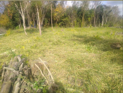 Imagen 5 de 10 de Venta Lote Sección Primera Isla Del Delta Tigre
