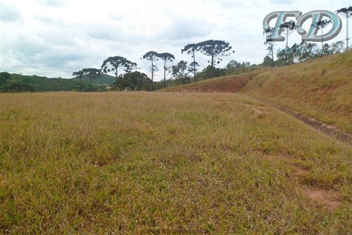 Imagem 23 de 26 de Áreas Industriais À Venda Em Mairiporã/sp - Compre O Seu Áreas Industriais Aqui! - 1428584