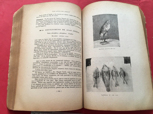 Las Aves De Chile En Su Clasificación Moderna 1945 R. Housse (Usado)