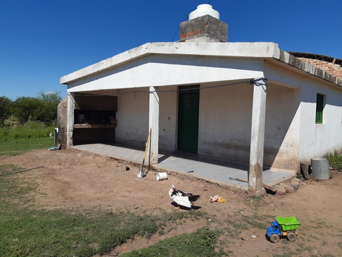 Campo En Venta Sobre Ruta 146 San Francisco, San Luis