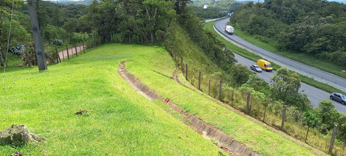 Imagem 3 de 15 de Chácara Para Venda Em São José Dos Pinhais, Área Rural De São José Dos Pinhais - Cha6607_1-2422868