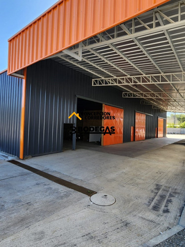 Arriendo Bodega De 750 M2 Con Of. En Ruta 5 Sur, Lautaro.