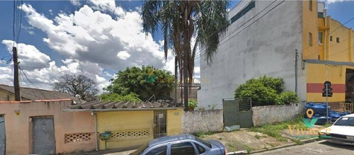 Imagem 1 de 1 de Terreno Residencial À Venda, Vila Ré - Te0027