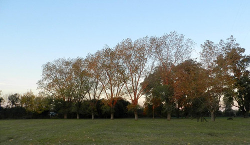 Imagen 6 de 12 de Terreno - Escobar