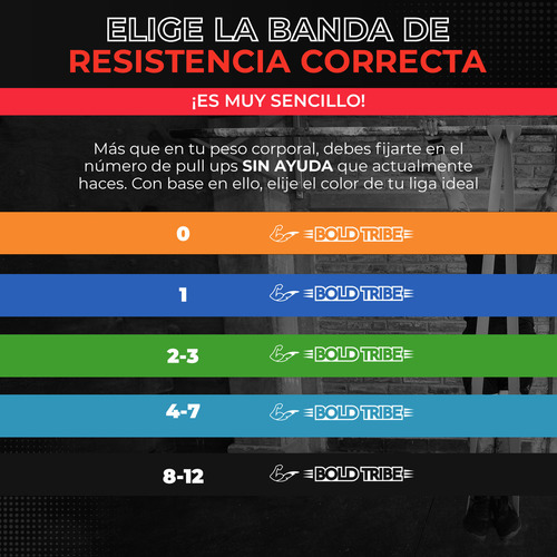 BOLD TRIBE Kit de 10 Ligas de Resistencia Unlimited Pack - Bandas Elásticas Premium - Ideales para Pull Ups, Cross Training, Calistenia, Dominadas y Entrenamiento Funcional - Gym en Casa
