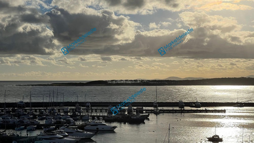Imagen 7 de 28 de Puerto Punta - Piso Alto