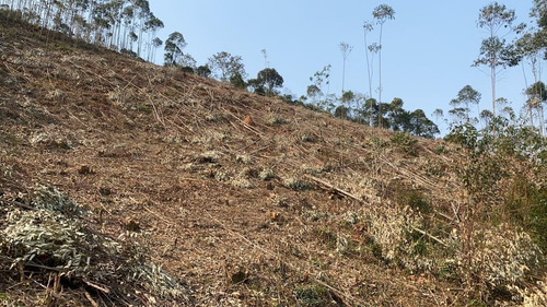 Imagem 14 de 14 de 34ei Terreno Igaratá Com Entrada Apenas De $ 5 Mil