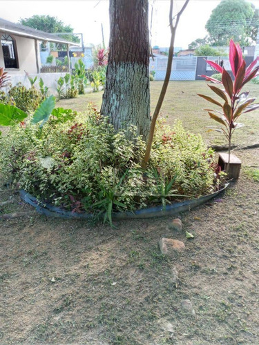 Chácara Com 3 Dormitórios À Venda Por R$ 700.000,00 - Monte Das Oliveiras - Manaus/am - Ch0058