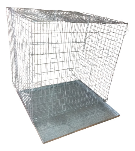 Jaula Plegable Para Loro Aves 60x60 Con Bandeja