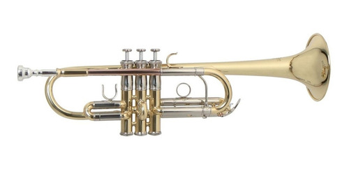 Trompeta Tonalidad C Tudel L C/estuche Roy Benson Tr-402c