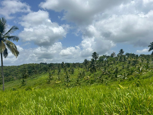 Te Vendo Finca En Hato Mayor Del Rey/republica Dominicana.