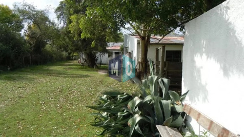 Chacra En Venta Ubicada A 2 Km De La Ciudad De Aigua.