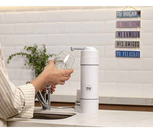 Purificador De Agua Psa Mini 12 Meses De Garantía + Kit Psa