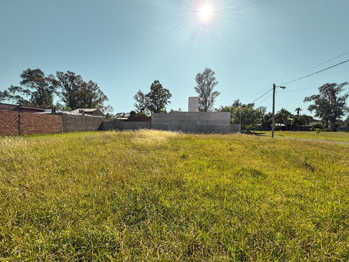 Terreno Con Entorno Consolidado En Barrio Tango
