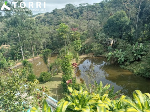 Imagem 22 de 25 de Chácara A Venda Em Ibiúna - Ch00158 - 34795142