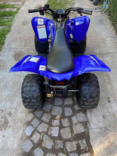Imagen 14 de 15 de Yamaha Raptor 90