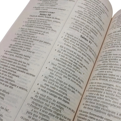 Biblia Sagrada Nvi Brochura, De Nova Versão Internacional. Editorial Vida, Capa Mole Em Português