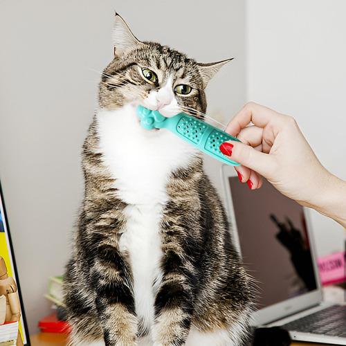 Juguete De Hierba Gatera Para Cepillo De Dientes Para Gatos