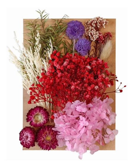 Flores Secas Prensadas | MercadoLibre 📦 Flores Secas Prensadas | MercadoLibre 📦