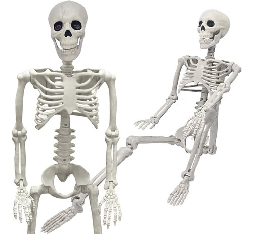 Esqueleto Decorativo De Halloween De 36 Pulgadas, Esqueleto 