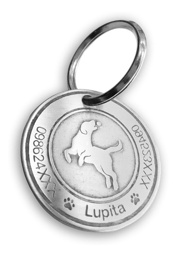 Placa, Medalla Identificacion De Mascotas, Acero Inoxidable