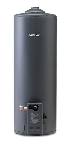 Imagen 1 de 1 de Termotanque a gas natural Longvie Alta Eficiencia T4110 grafito 110L