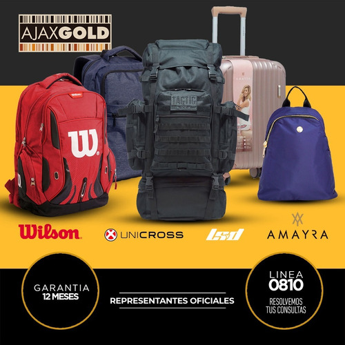 Imagen 8 de 10 de Mochila Wilson Porta Notebook Urbana Deportes Gym Reforzada