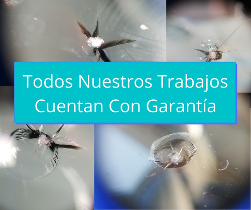 Reparación De Parabrisas A Domicilio