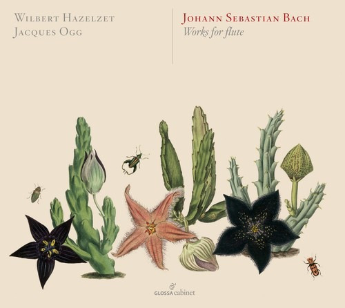 Bach, J.s. / Hazelzet / Ogg Bach: Works For Flute Cd Us Imp
