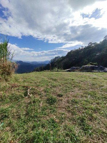 Lote En Venta En Los Naranjos. Cod V1093001
