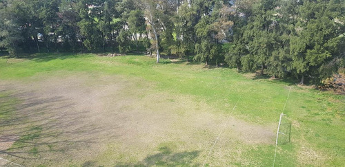 Imagen 11 de 16 de Terreno - Bella Vista
