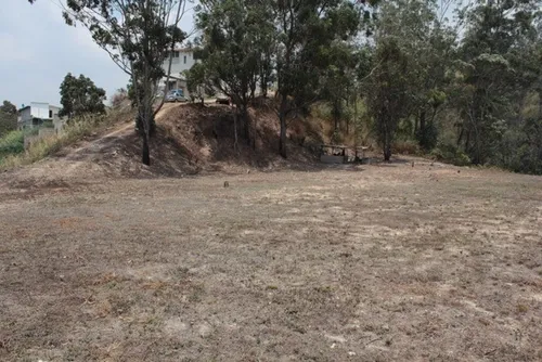 Vendo Terreno En Carrizal