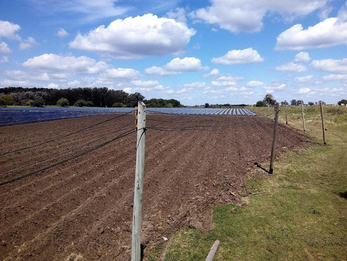 Imagen 4 de 5 de Campo 12 Ha En Capilla Del Señor, Agrícola