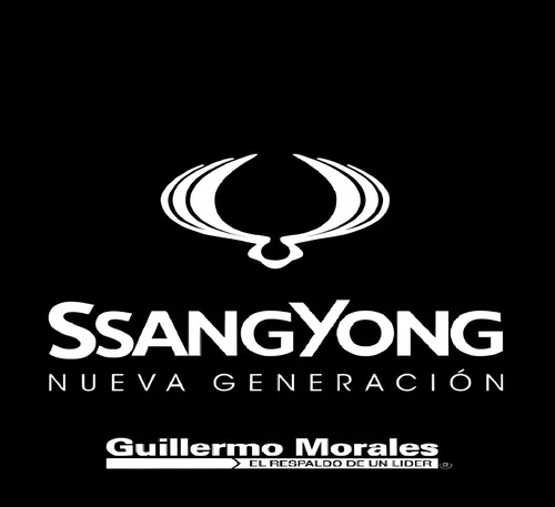 Filtro Aire Original - Ssang Yong Rexton 2008 - 2018