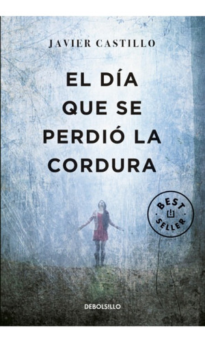 El Dia Que Se Perdio La Cordura - Castillo Javier (libro) -