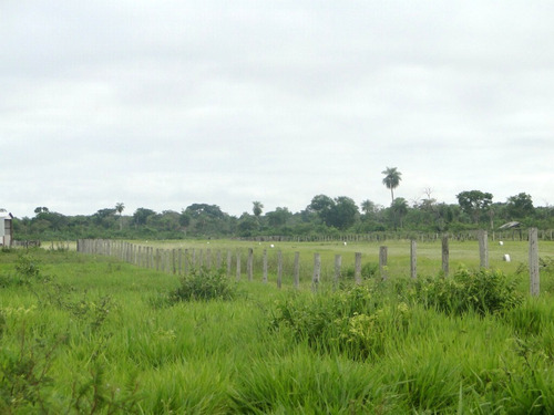 Fazenda Com 21.000 Hectares Em Corumbá - Ms
