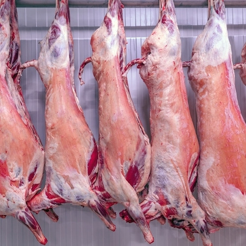 Cordero Fresco 10 Kg