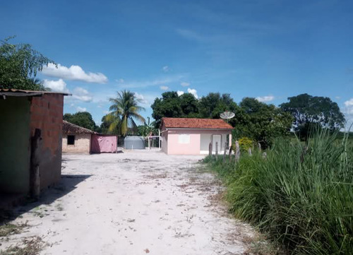 Roça Com 2 Casas Ou Total 4 Quartos E 2 Banheiros