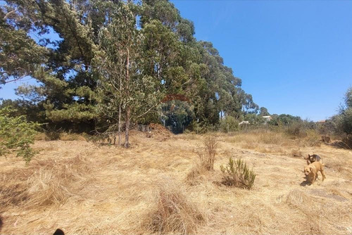 Inversión Ideal: Gran Terreno En Algarrobo,