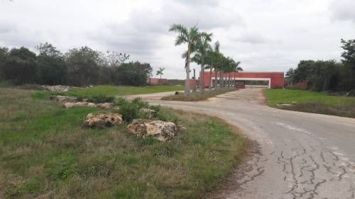 Terreno En Mérida En Venta 2 Lotes De 3 Hec $19,765,000 F287