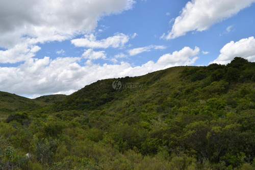 Imagen 8 de 20 de Venta Chacra Sierra Ruta 39 Aigua Sierra De Los Caracoles