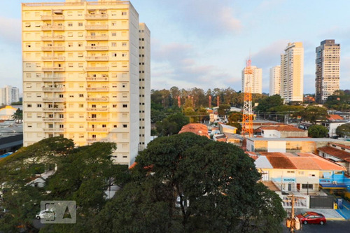 Apartamento À Venda - Chácara Santo Antonio, 2 Quartos, 85 - S893073226