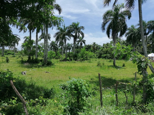 Venta Terreno Solar Guerra, Carretera Bayaguana