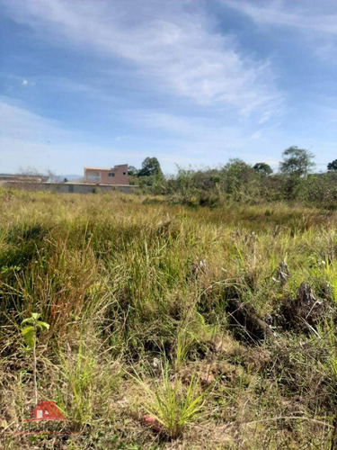 Imagem 9 de 15 de Terreno Plano 170 M² Em Santa Cruz - Rj - Te0020