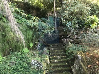 Imagem 5 de 22 de Casa Jardim Botânico - Ca00033 - 68195319