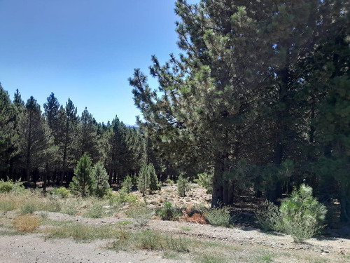 Terreno En El Desafio Mountain Resort, San Martin De Los Andes