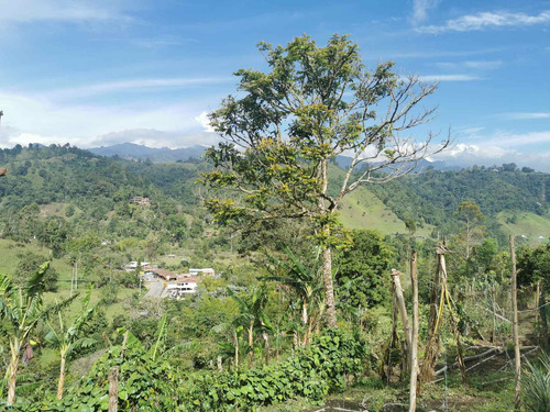 Imagen 9 de 13 de Finca - Boquia - A Cinco Minutos De Salento.