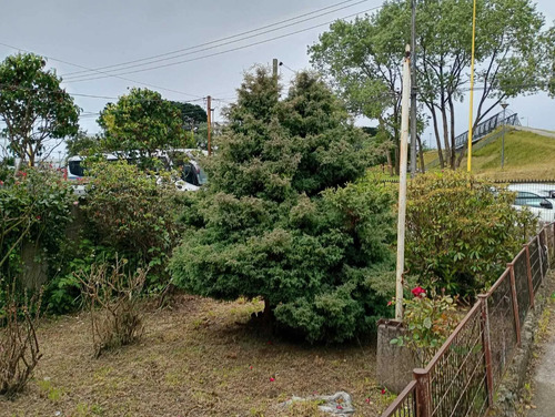Terreno Amplio Ideal Para Tu Proyecto (139897)