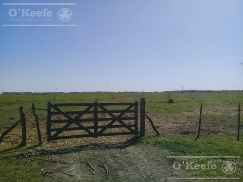 Imagen 17 de 25 de Campo Mixto De 75 Has - Buen Acceso A 3 Km De Ruta 215 - A 1 Hs De Caba