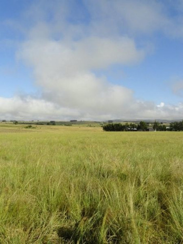 Quinta En Venta De 2 Dormitorios En Puntas De José Ignacio
